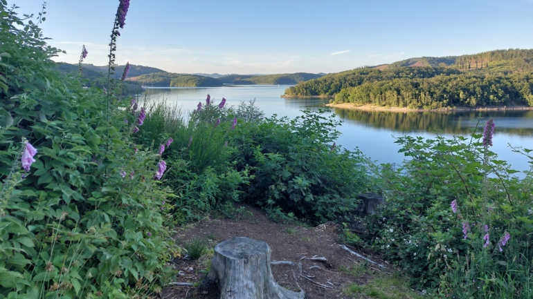 20240628_203851_Biggesee mf