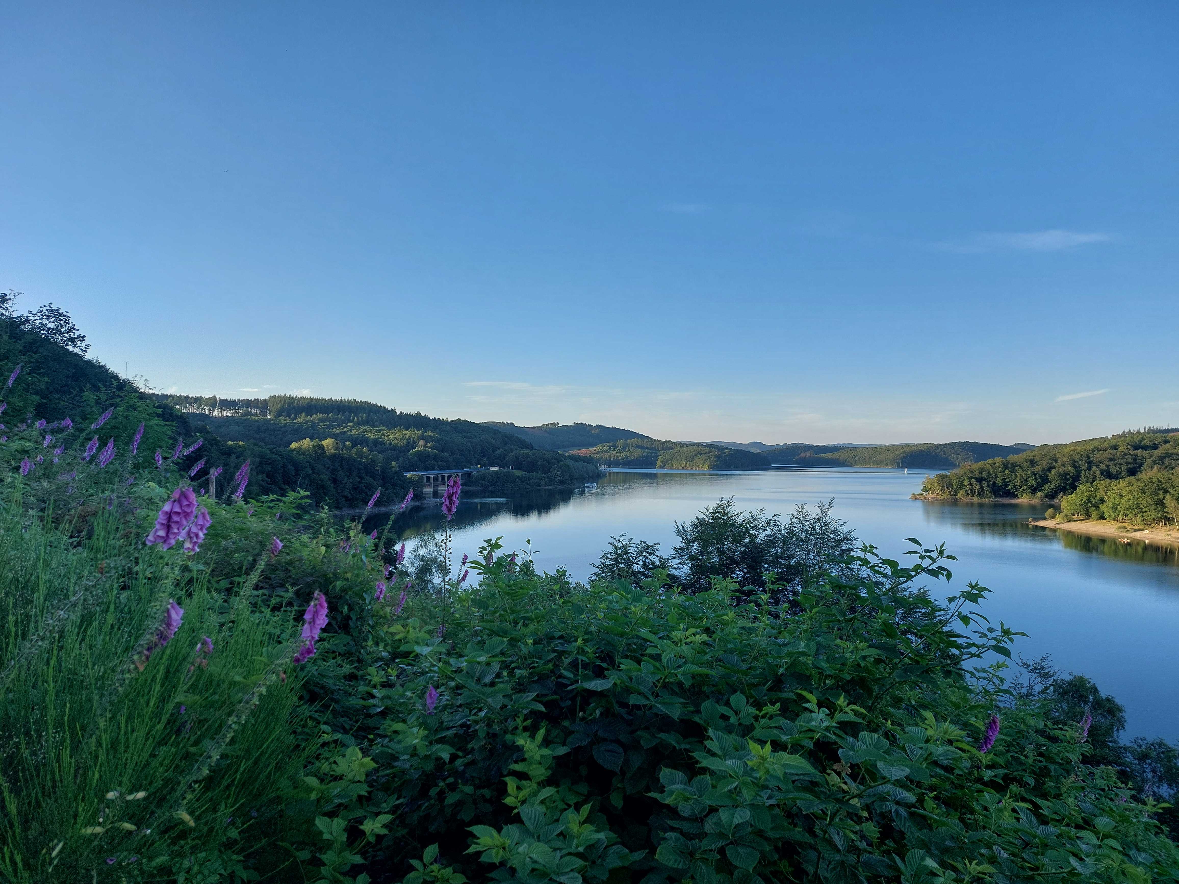 20240628_203943_Biggesee mit lila Blumen